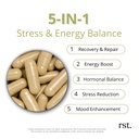 adaptogen-stress-support-calm-energy-men-3.jpg