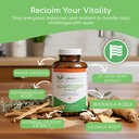 adaptogen-immune-adaptogens-supplements--3.jpg