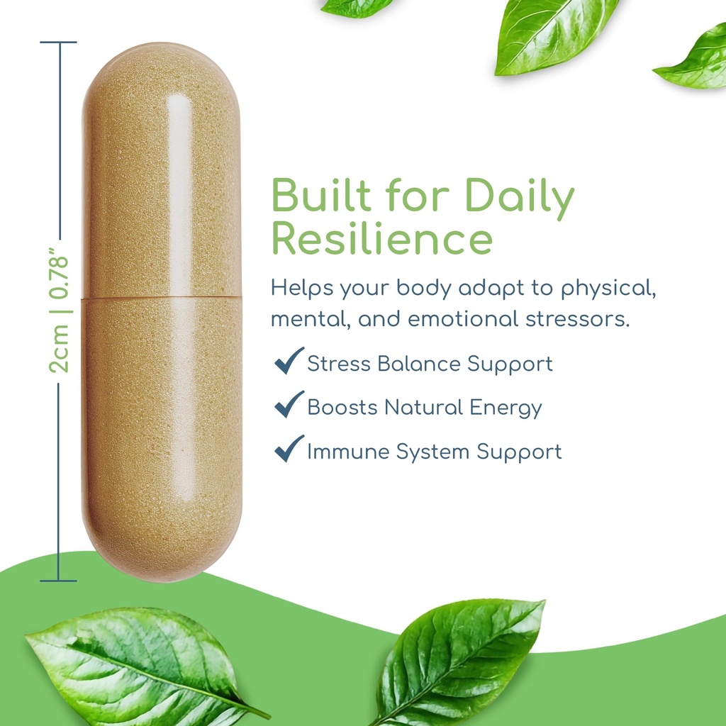 adaptogen-immune-adaptogens-supplements--5.jpg