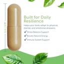 adaptogen-immune-adaptogens-supplements--5.jpg