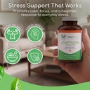 adaptogen-immune-adaptogens-supplements--4.jpg