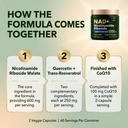 nad-supplement-nicotinamide-riboside-mal-5.jpg