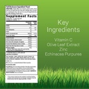 irwin-naturals-urgent-rescue-mega-vita-c-2.jpg