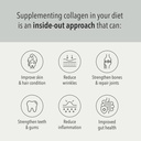 the-harvest-table-vegan-collagen-booster-4.jpg