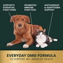 vetriscience-dmg-immunity-health-easy-do-6.jpg