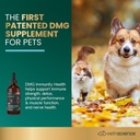 vetriscience-dmg-immunity-health-easy-do-4.jpg