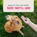 vetiq-multivitamin-supplement-for-dogs-s-5.jpg