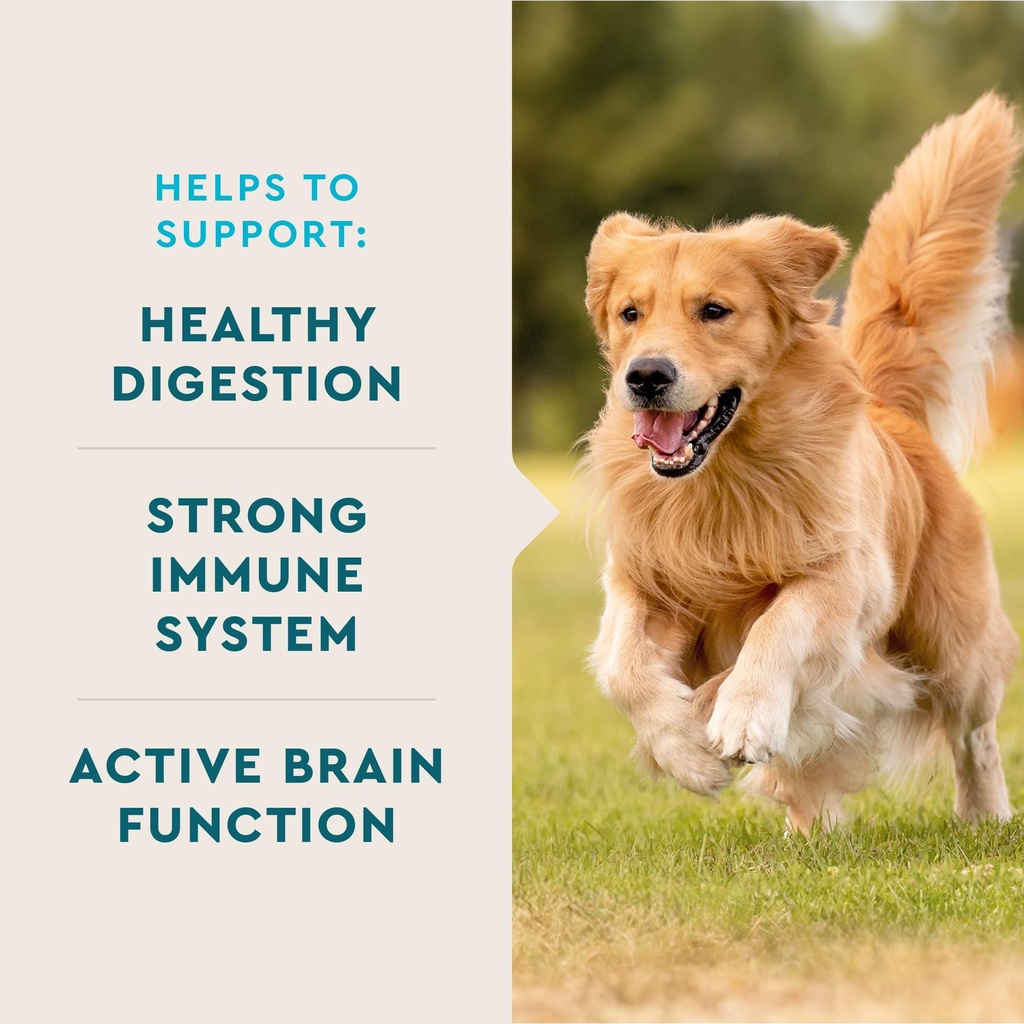 vetiq-multivitamin-supplement-for-dogs-s-2.jpg