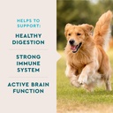 vetiq-multivitamin-supplement-for-dogs-s-2.jpg