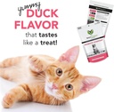 vetriscience-cat-health-bundle-gut-healt-2.jpg