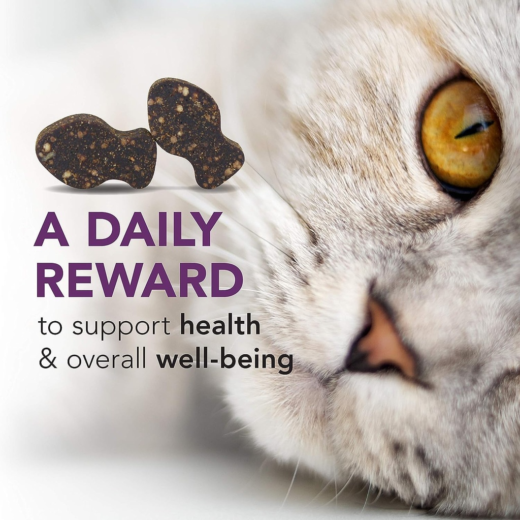 vetriscience-cat-health-bundle-gut-healt-5.jpg