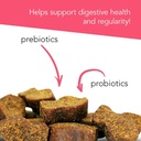 vetriscience-cat-health-bundle-gut-healt-3.jpg