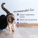 vetriscience-cat-health-bundle-gut-healt-6.jpg
