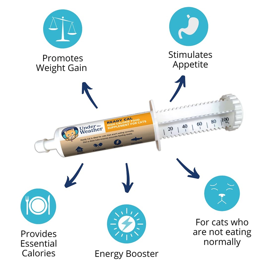 under-the-weather-pet-ready-cal-for-cats-5.jpg