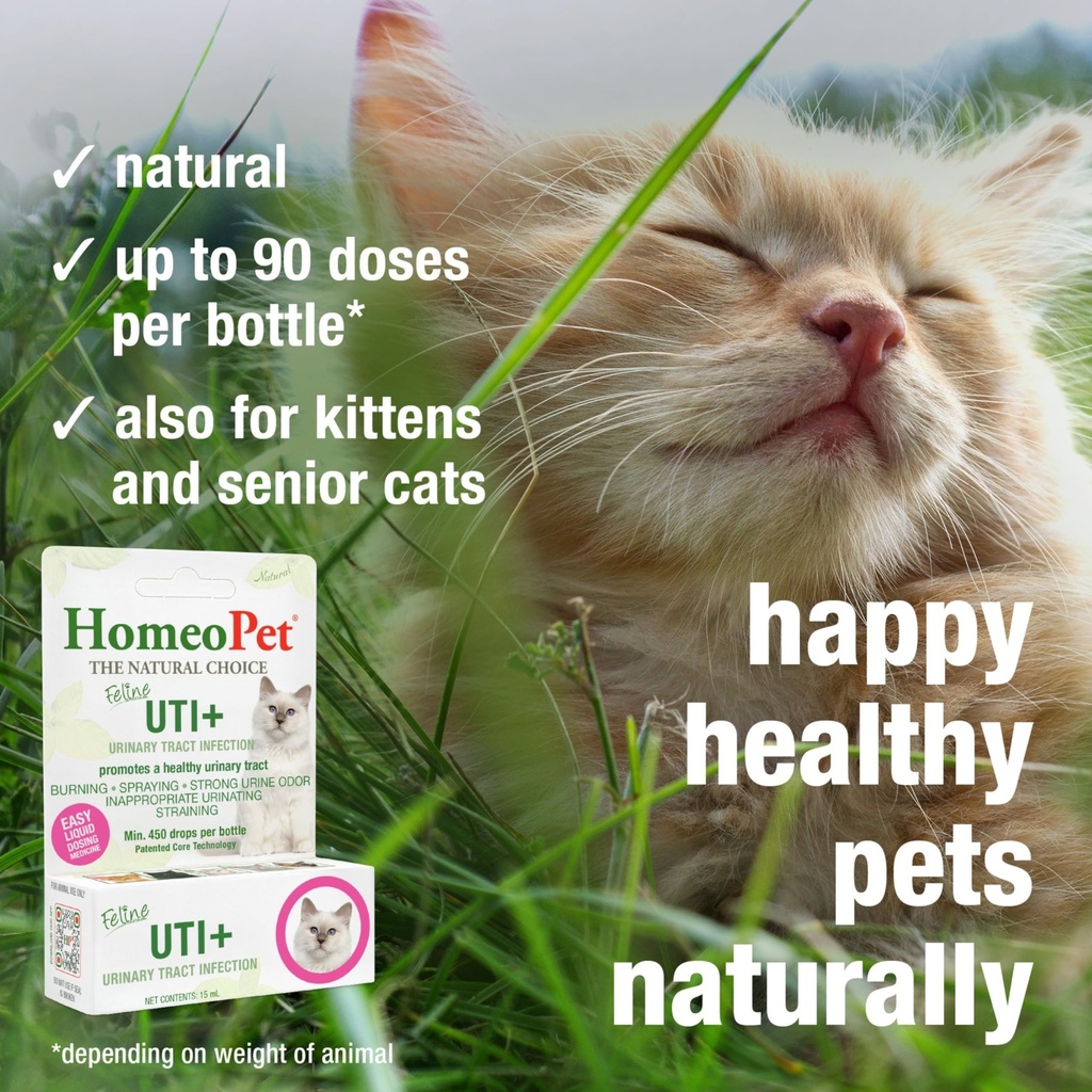 homeopet-feline-uti-safe-and-natural-uri-4.jpg