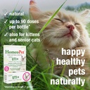homeopet-feline-uti-safe-and-natural-uri-4.jpg
