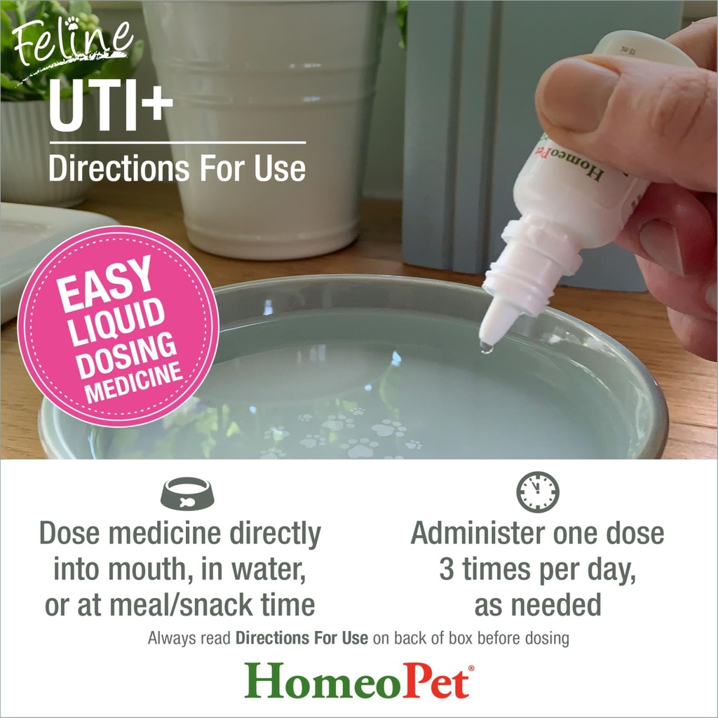 homeopet-feline-uti-safe-and-natural-uri-5.jpg