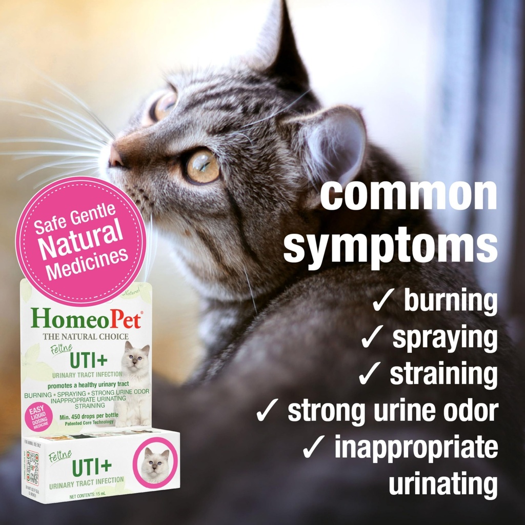 homeopet-feline-uti-safe-and-natural-uri-3.jpg