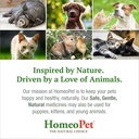 homeopet-feline-uti-safe-and-natural-uri-6.jpg