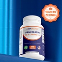 vitamatic-pancreatin-10x-digestive-enzym-5.jpg