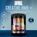 animal-creatine-hmb-powder-x-smarties-3g-2.jpg
