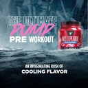 bsn-n-o-xplode-cool-rush-pre-workout-pow-4.jpg