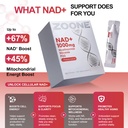 nad-1000mg-liquid-30-packets-nad-resvera-4.jpg