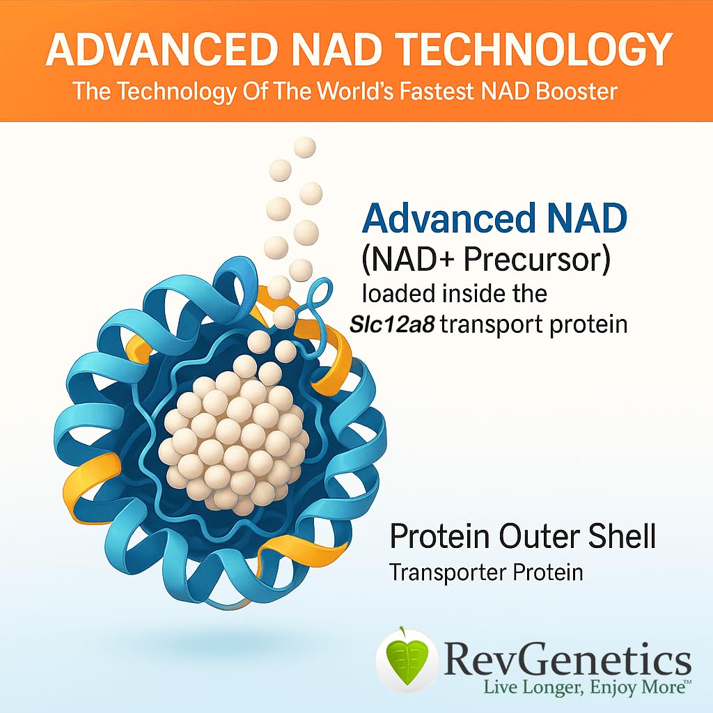 revgenetics-advanced-nad-powder-dietary--2.jpg