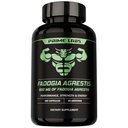 prime-labs-l-arginine-60-ct-fadogia-agre-3.jpg