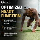 cerus-performance-flow-pro-stimulant-fre-4.jpg