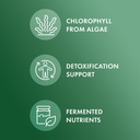 dr-mercola-fermented-chlorella-supports--3.jpg