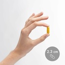 dr-mercola-organic-fermented-turmeric-37-6.jpg