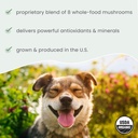 dr-mercola-bark-whiskers-organic-ferment-5.jpg