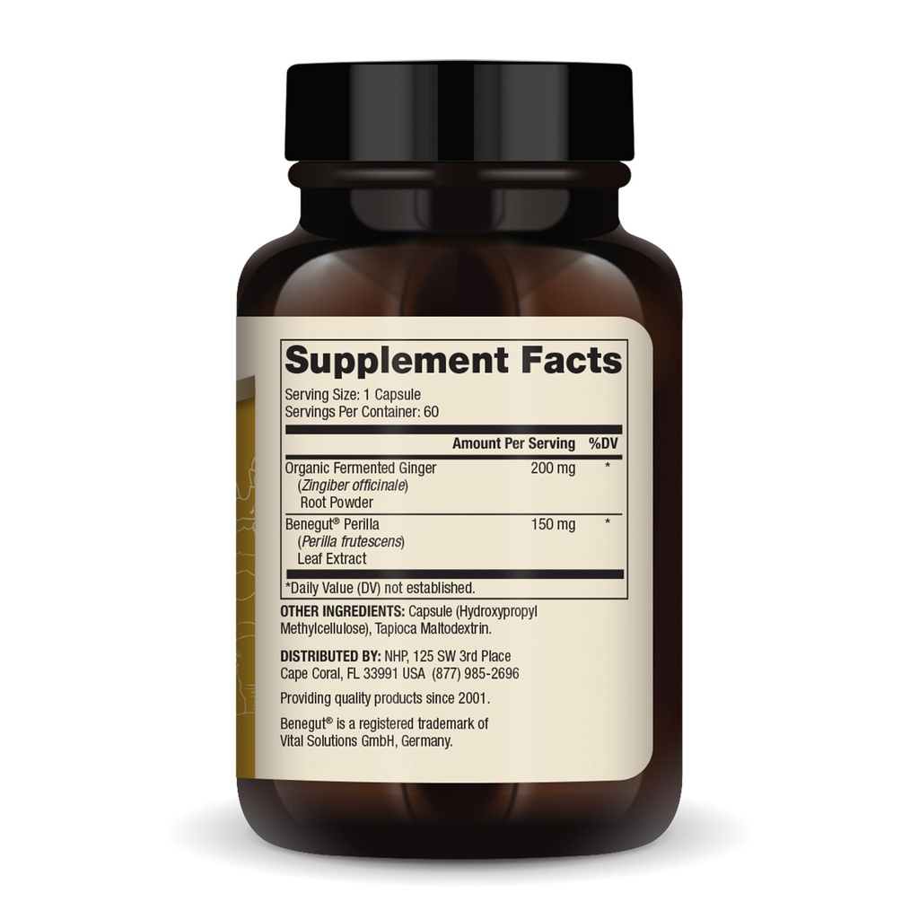 dr-mercola-fermented-ginger-with-benegut-2.jpg