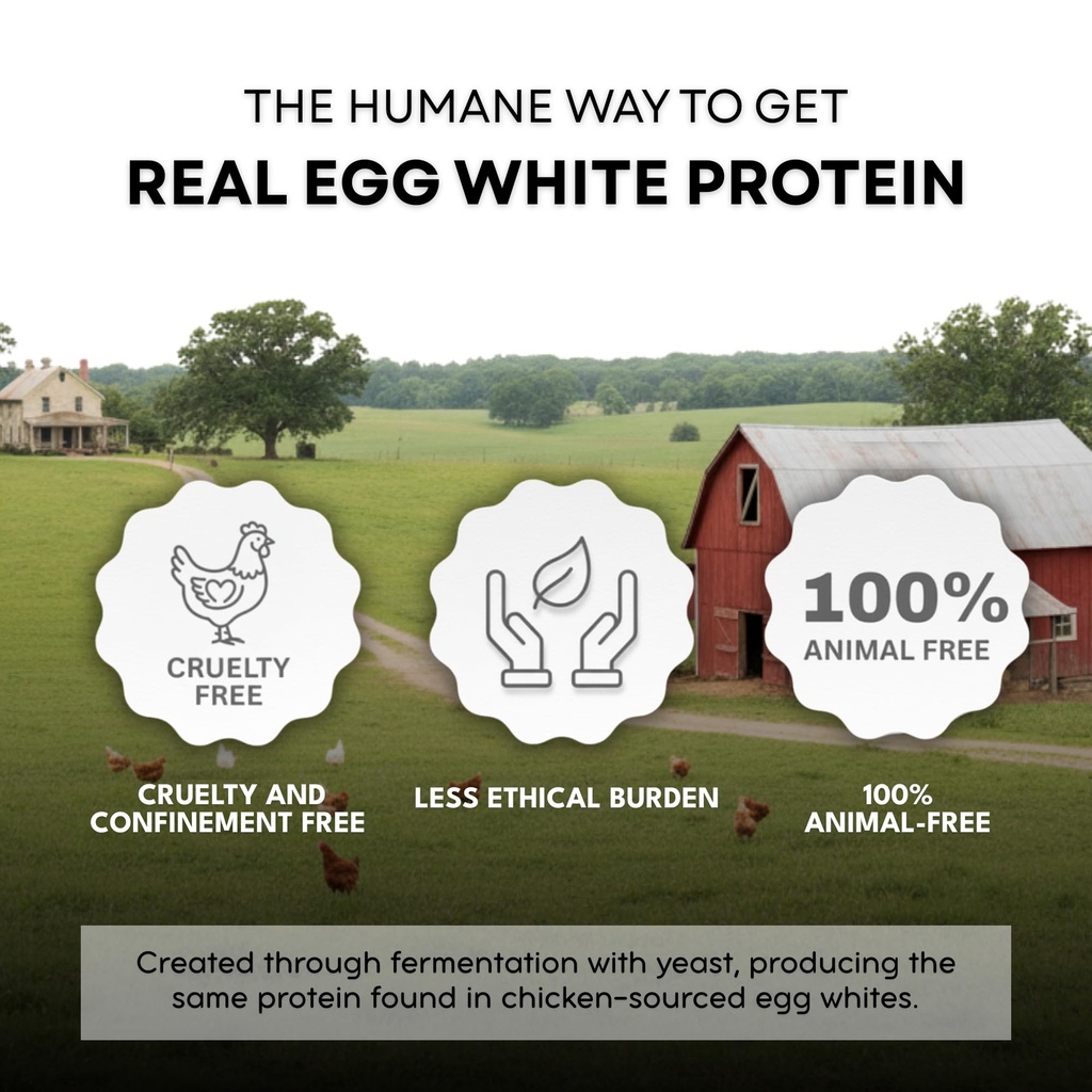 healthier-comforts-animal-free-egg-white-6.jpg