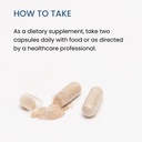 the-wellness-company-digestive-comfort-b-6.jpg