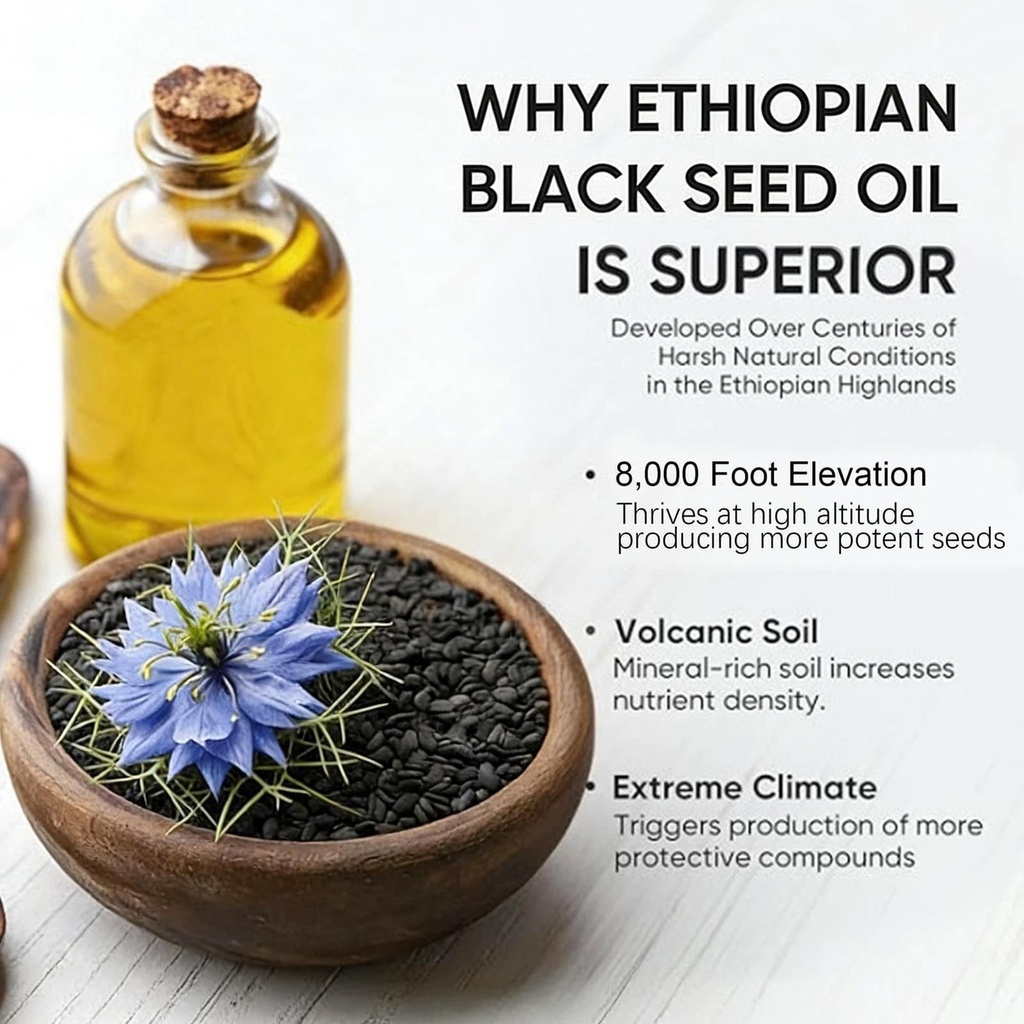 ethiopian-black-seed-oil-organic-cold-pr-6.jpg