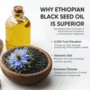 ethiopian-black-seed-oil-organic-cold-pr-6.jpg