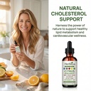 herbeya-bergamot-liver-cleanse-formula-r-4.jpg