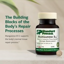 standard-process-manganese-b12-supports--3.jpg