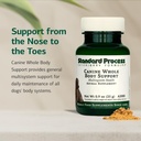 standard-process-inc-whole-body-multisys-3.jpg