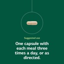 standard-process-inc-enzycore-150-capsul-5.jpg