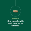 standard-process-multizyme-pancreatic-en-5.jpg