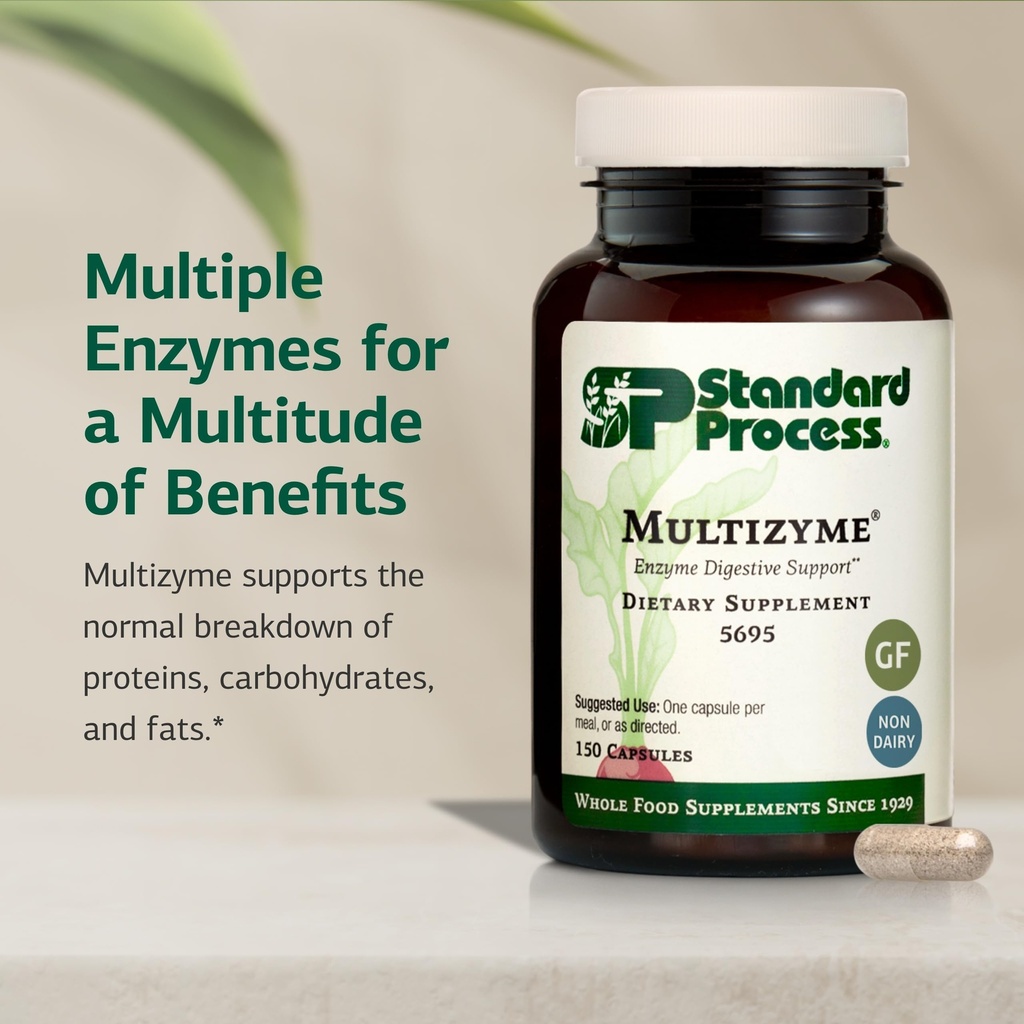 standard-process-multizyme-pancreatic-en-3.jpg