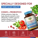 terranics-coq10-probiotics-for-women-men-5.jpg