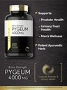 carlyle-pygeum-africanum-bark-200-capsul-3.jpg