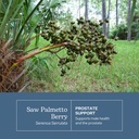 eclectic-herb-saw-palmetto-capsules-urin-3.jpg