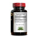 natural-saw-palmetto-complex-supports-ma-4.jpg