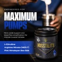 hosstile-hosstility-v2-pre-workout-powde-3.jpg