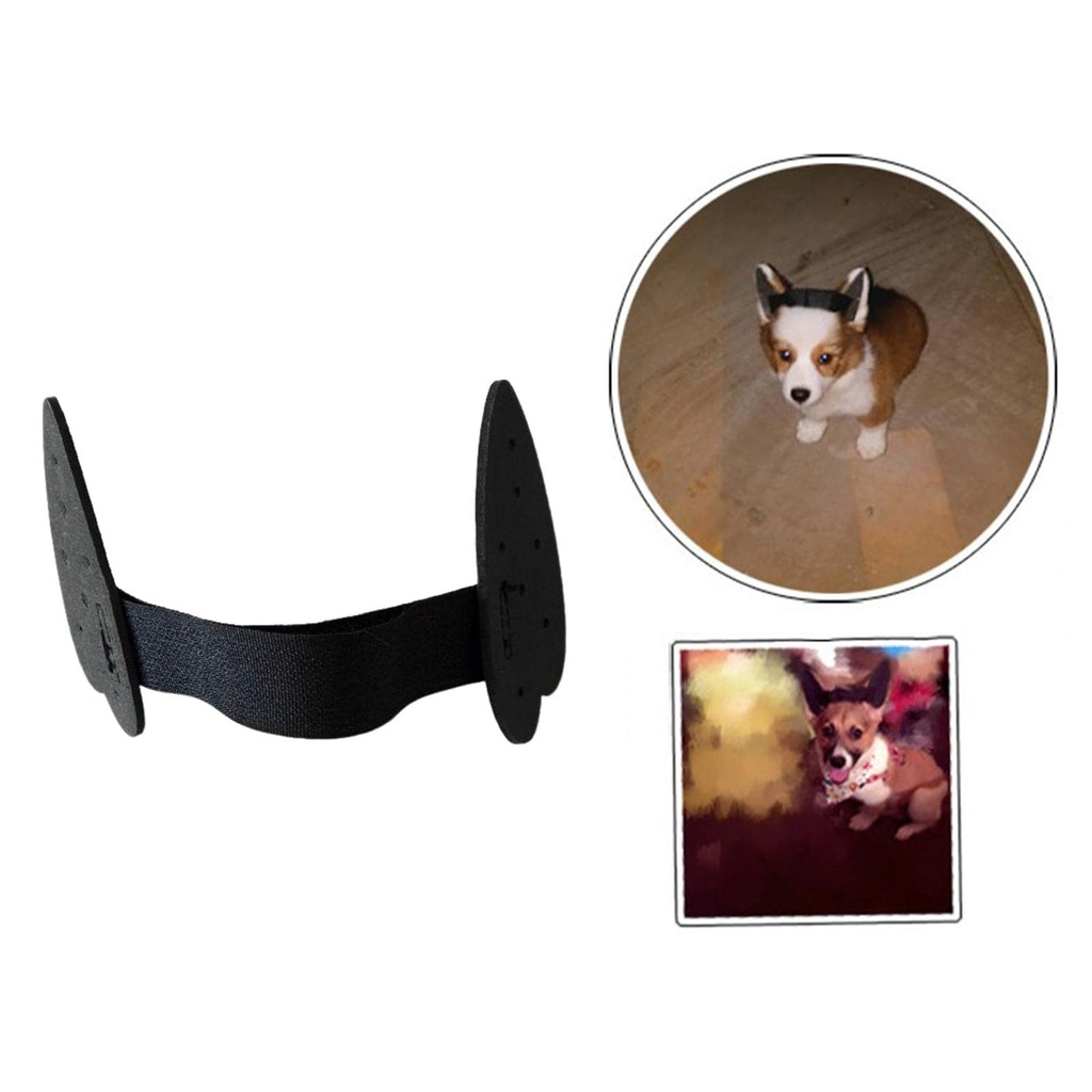2pcs-pet-dog-ears-care-tool-ear-stand-up-5.jpg